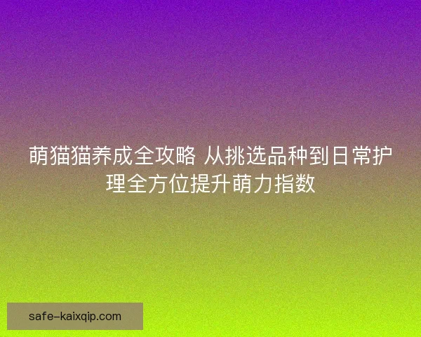 萌猫猫养成全攻略 从挑选品种到日常护理全方位提升萌力指数